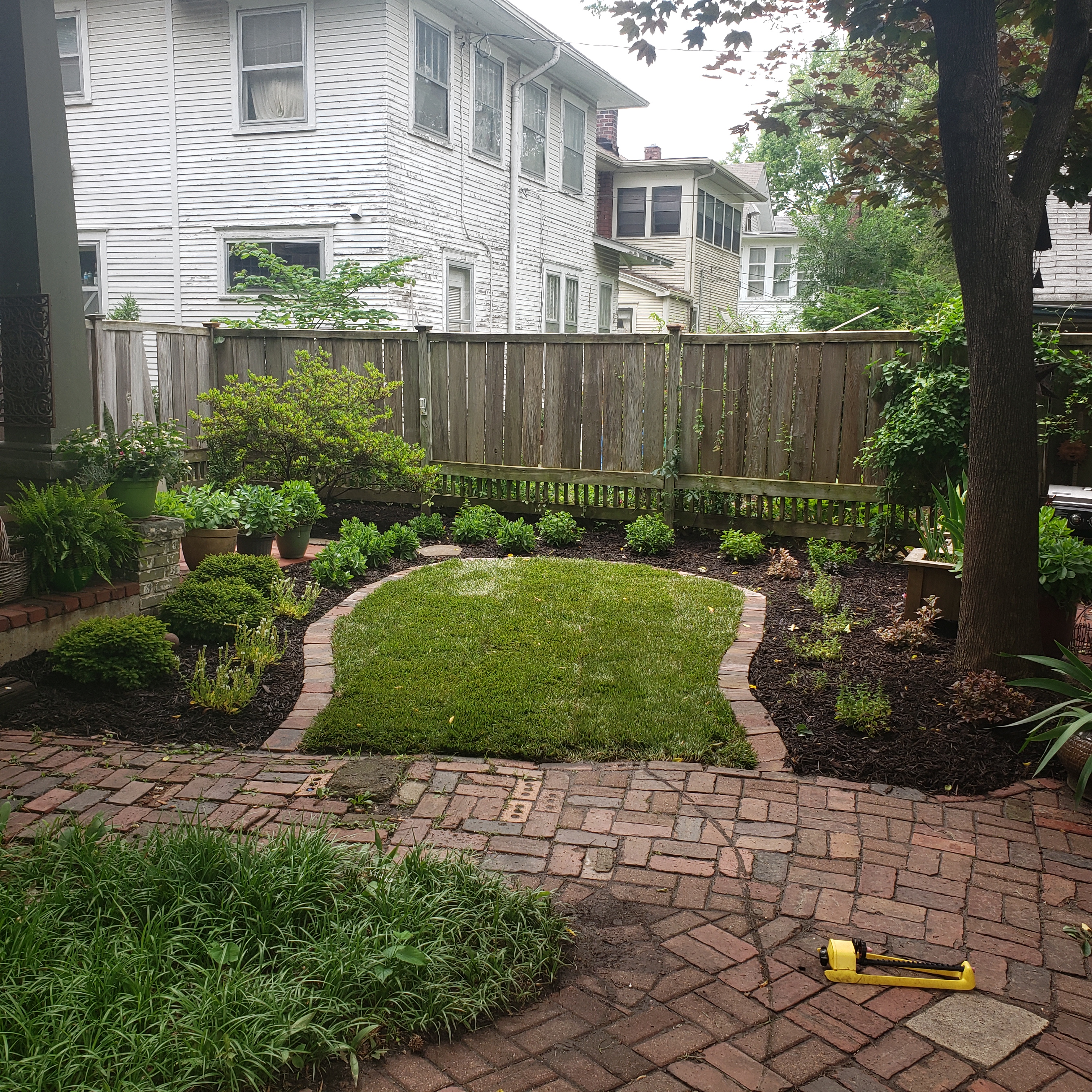 2019 06 14 11.45.35 (1)