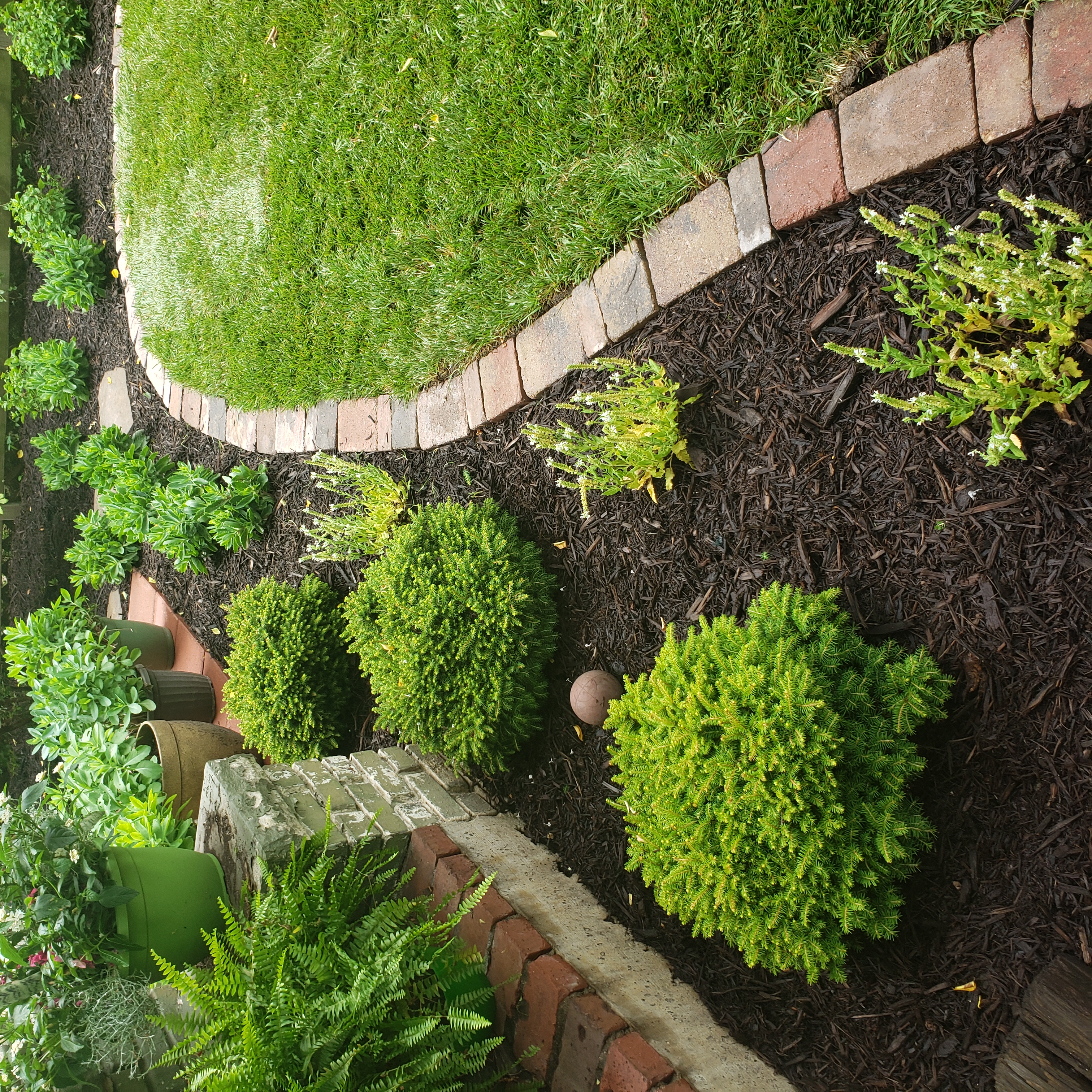 2019 06 14 11.49.22 (1)