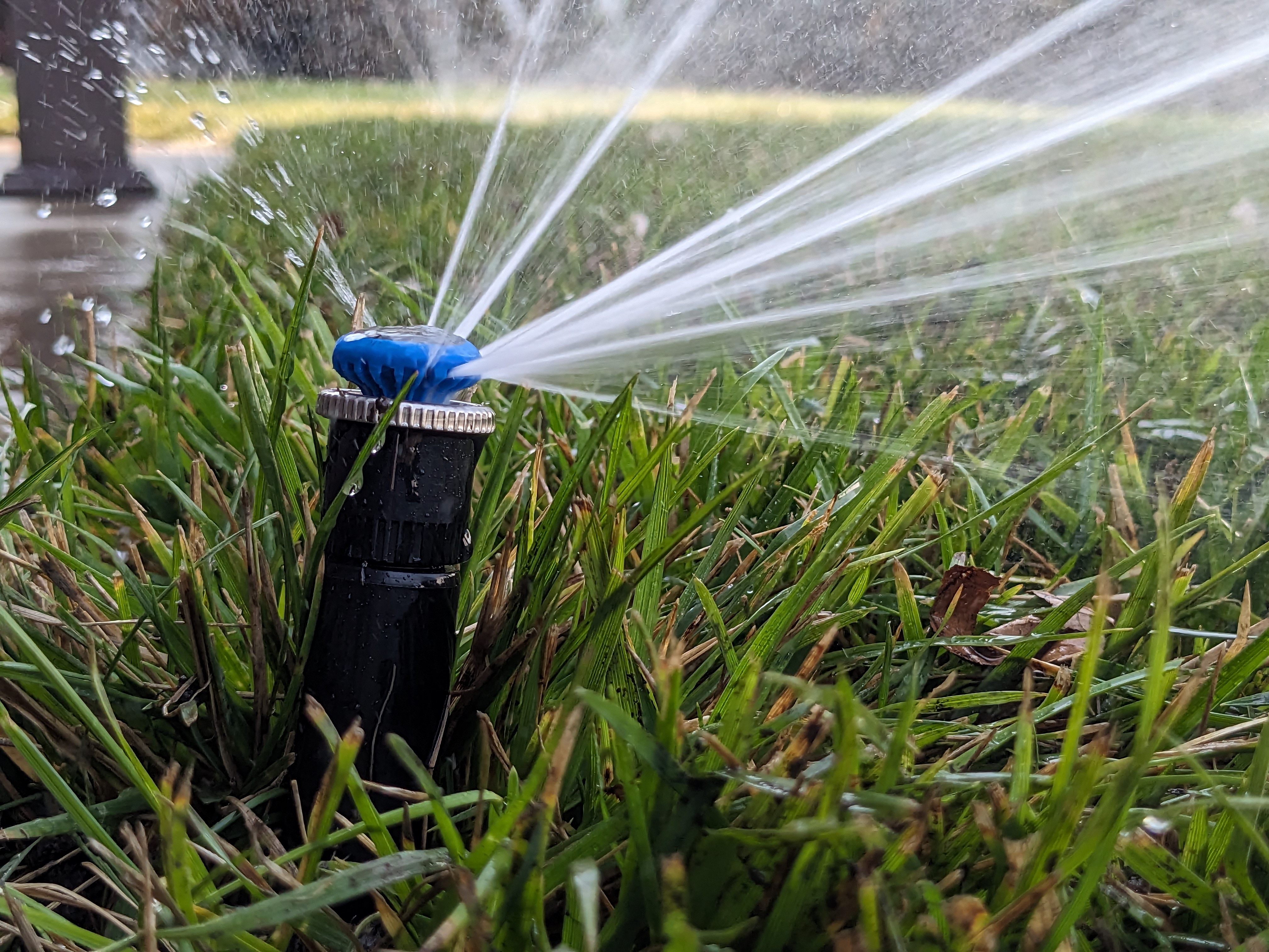 Pxl 20230829 210704366