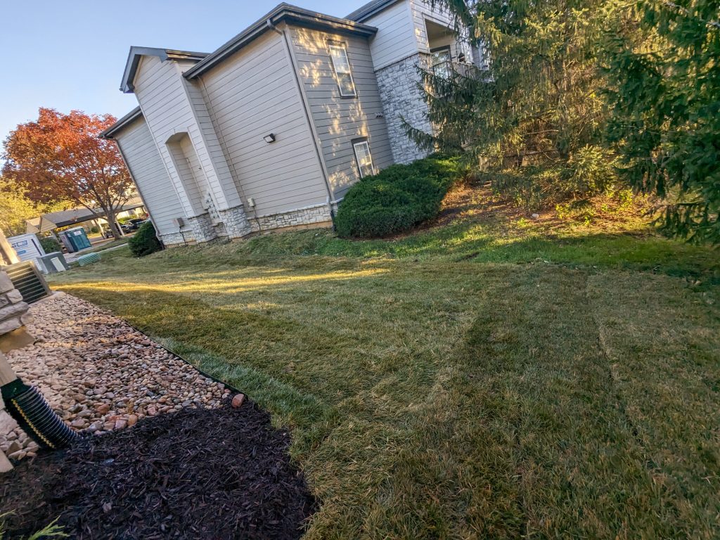 Pxl 20231017 225422028