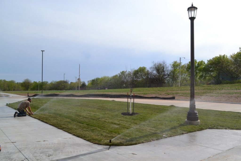 results of sod and seed services