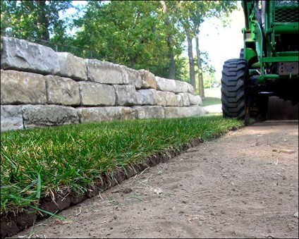 maintenance of a seeding with clean edging