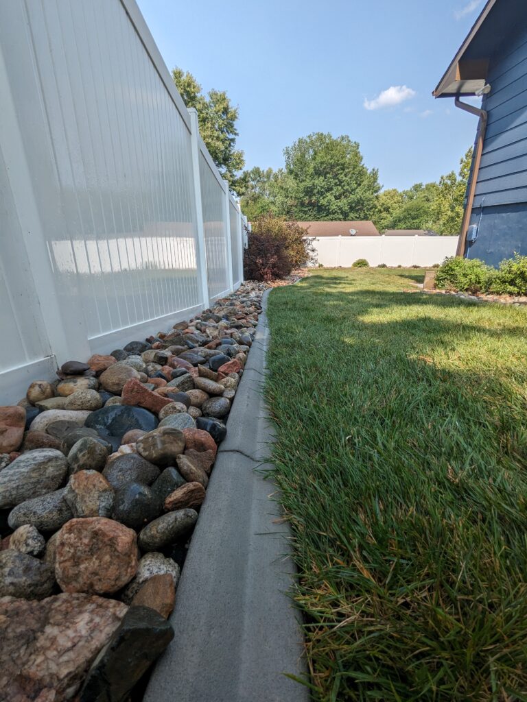 sowing of seeds provides green lawn