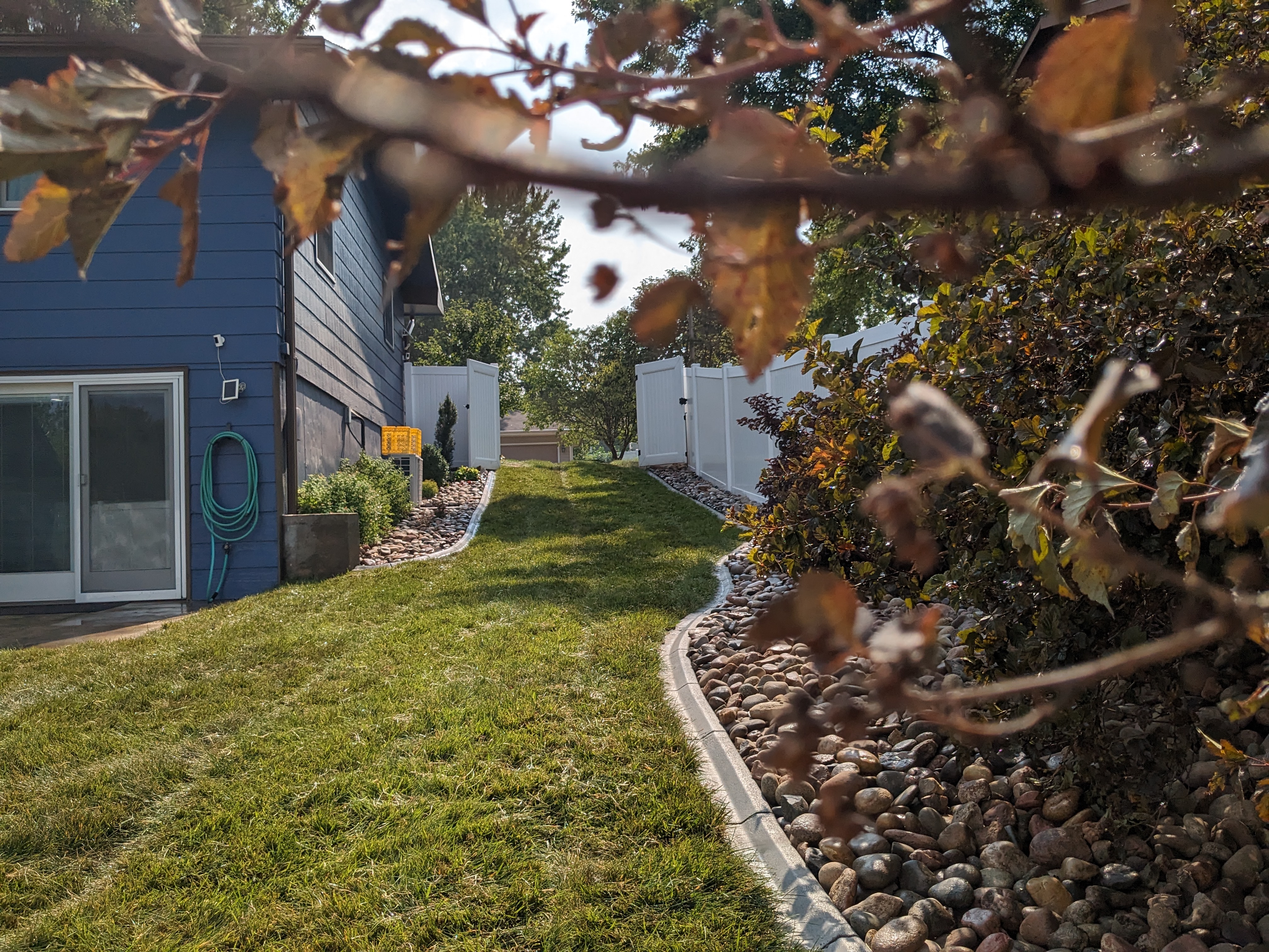 side yard seeding with lush results