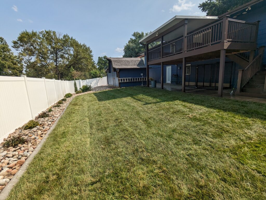 back yard green lawn thanks to regular seeding