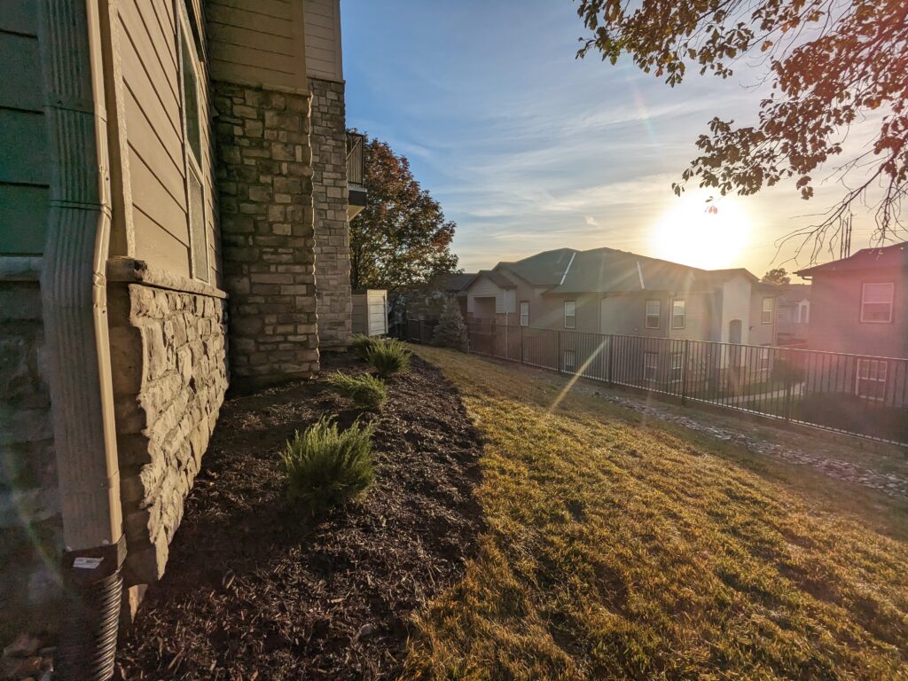side yard after seeding and maintenance